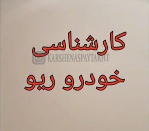 کارشناسی خودرو ریو