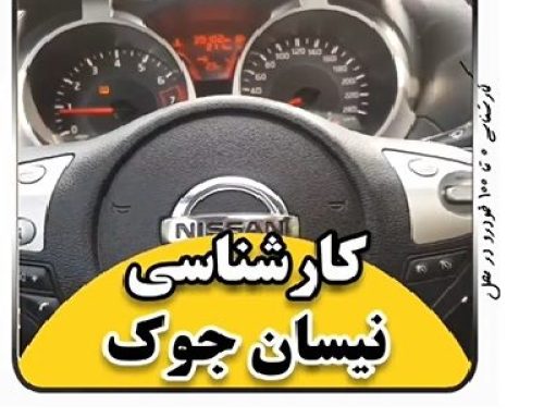 کارشناسی خودرو نیسان جوک